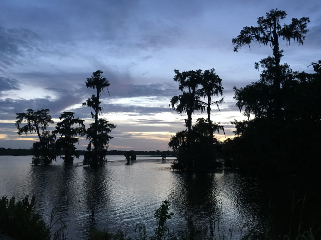 Lake Martin, Louisiana, sunset, cypress trees
